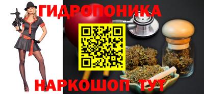 соль ск Будённовск