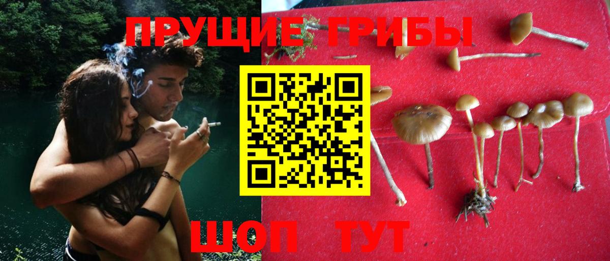 Псилоцибиновые грибы прущие грибы  Вход с VPN  закладки  Нальчик 